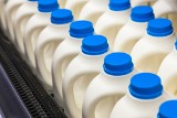 Ceny mleka wciąż rosną, tak dużo jeszcze w skupie nie płacili. Ile litrowa butelka kosztuje teraz w markecie? 