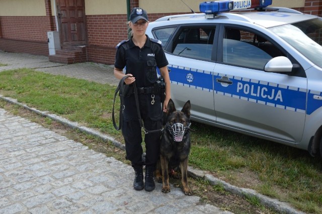 Psy policyjne w akcji