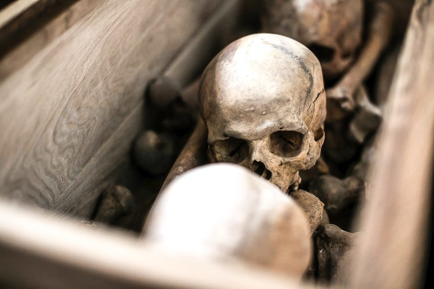 Szczątki dawnych mieszczan spoczęły w krypcie kościoła św. Mikołaja. Ponowny pochówek kości odnalezionych w czasie remontu budowli