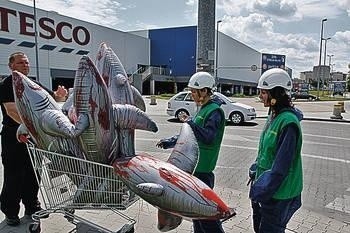 Na żądanie ochroniarzy aktywiści Greenpeace zeszli z dachu Fot. Anna Kaczmarz