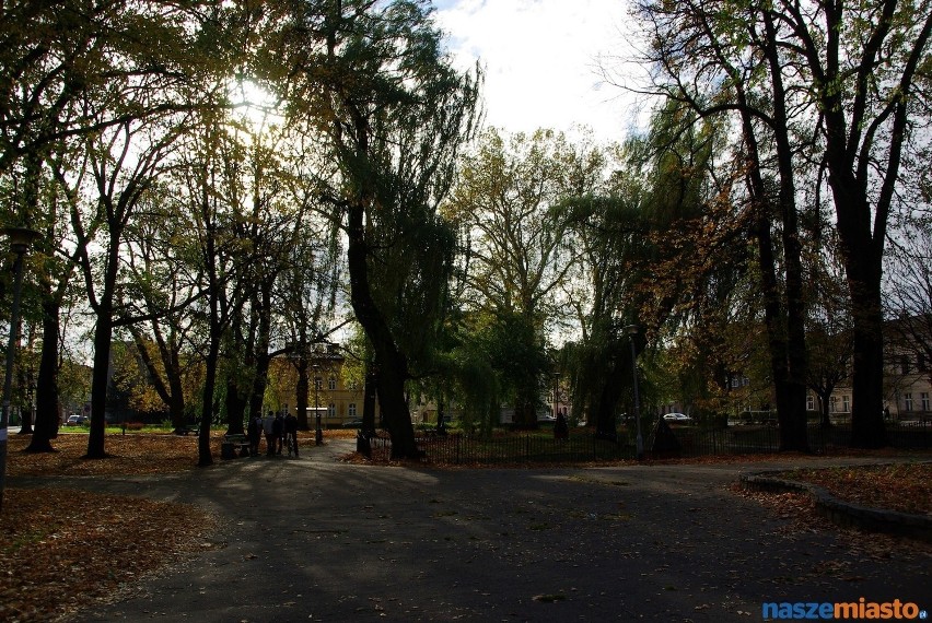 Leszno: Drzewa z parku na placu Kościuszki trzeba wyciąć
