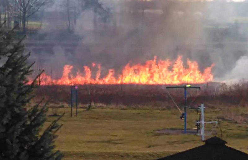 Pożar trawy na osiedlu Okrzei w Kątach Wrocławskich