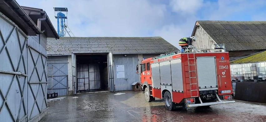 Strażacy walczą ze skutkami silnego wiatru na Lubelszczyźnie
