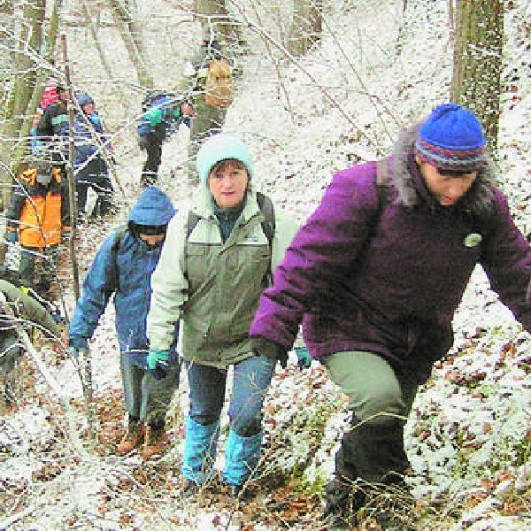 Szlak wiedzie odcinkami przez urwiste skarpy nad Brdą.