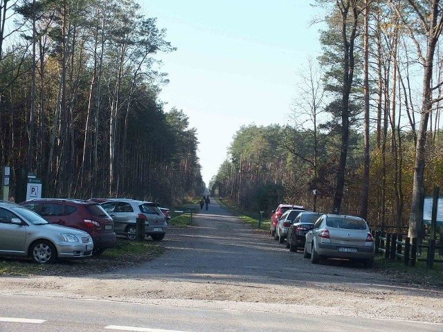 Tłok samochodów znajdował się na śródleśnych parkingach wokół Starachowic przez całą niedzielę. Znów były problemy z zaparkowaniem samochodu. Do lasu w niedzielę przyjechali prawie wyłącznie spacerowicze, „okupujący” śródleśne drogi asfaltowane. Tylko jednostki usiłowały zbierać grzyby, których jest coraz mniej, parkując samochody przy nieutwardzonych, mokrych drogach leśnych.Na kolejnych slajdach zobaczycie co działo się w starachowickich lasach w niedzielę, 8 listopada.