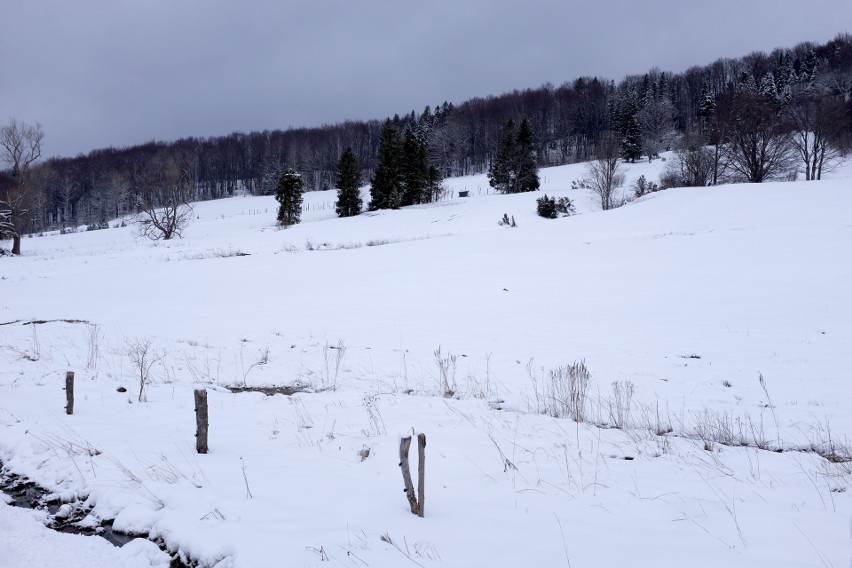 Zima w Bieszczadach. Zobaczcie zdjęcia z pięknej,...