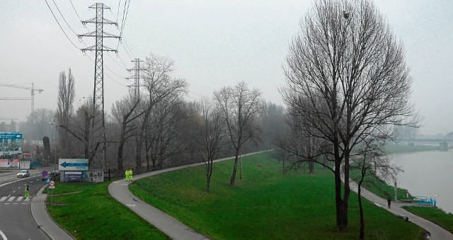 Te tereny nad Wisłą to ostatnia enklawa zieleni na Grzegórzkach