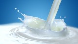Cztery świętokrzyskie mleczarnie w europejskiej sieci 