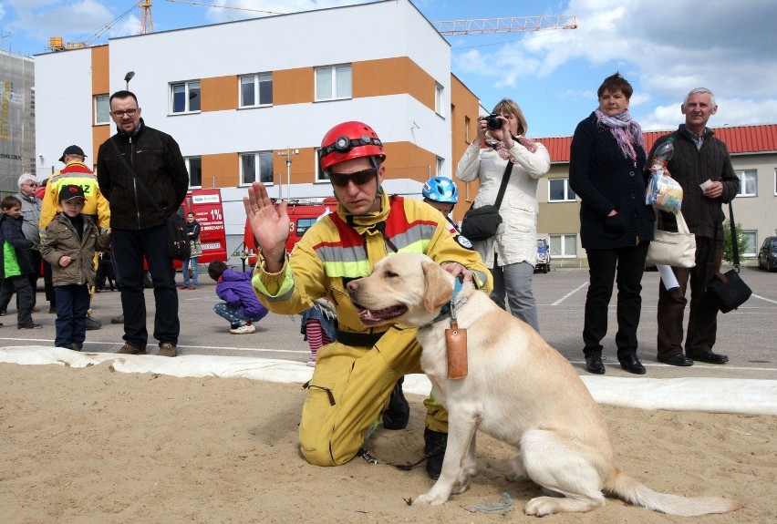 Gdańsk: Pokaz umiejętności strażackich psów-ratowników [ZDJĘCIA]