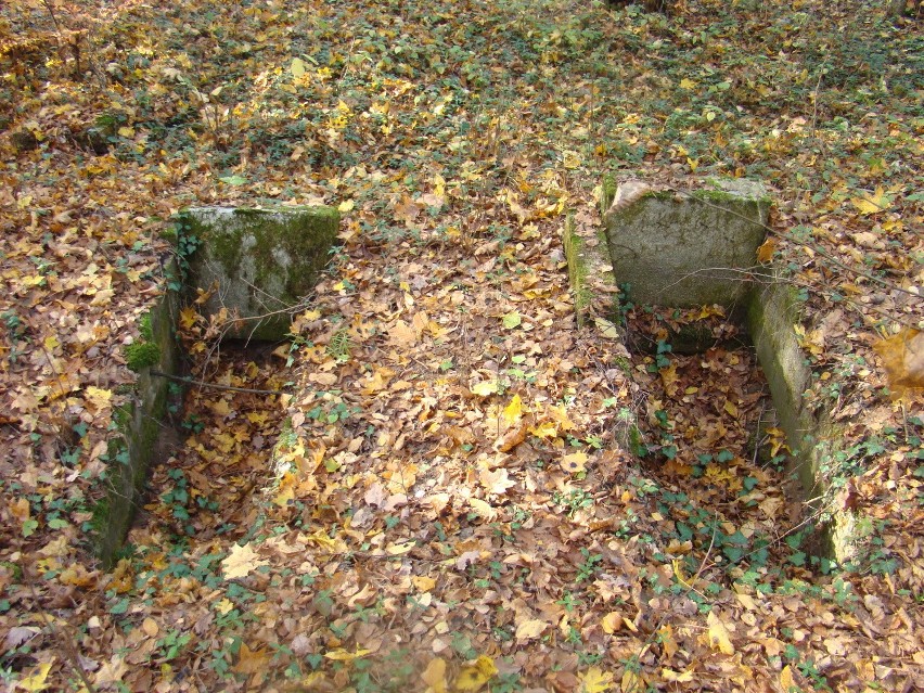 Zapomniane cmentarze ewangelickie na Pomorzu. Rozkradzione groby zbiorowej niepamięci [ZDJĘCIA]