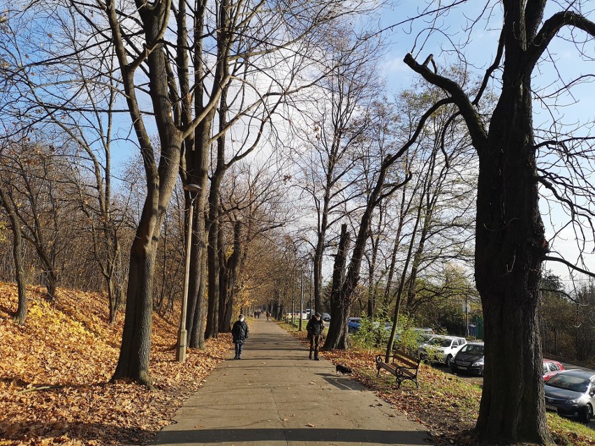 Jesienny spacer po Krakowie aleją Waszyngtona