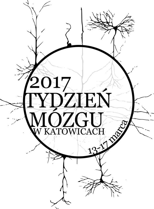 Tydzień Mózgu 2017 w Katowicach. Poznaj program