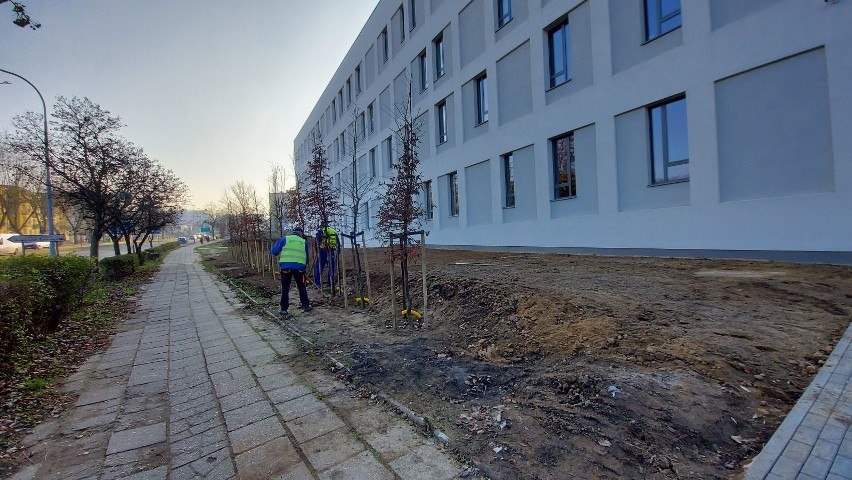 Likwidacja ogrodzenia budynków szpitalnych od strony ulicy...