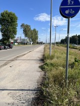 Niebezpieczna ścieżka rowerowa w Kielcach. Leży na niej skoszona trawa i piach. Zobaczcie zdjjęcia