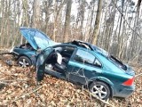 Wypadek w Lipiczach w powiecie częstochowskim. Ford zderzył się z łosiem, kierowca samochodu trafił do szpitala w Radomsku