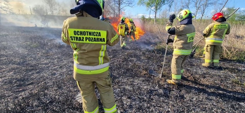 Strażacy gasili ostatnio pożar traw w rejonie ul. Rodzinnej