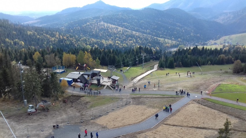 Tatry. Ścieżka w koronach drzew przyciąga tłumy