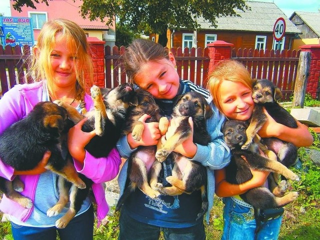 Dzięki dzieciom z Brańska wiele szczeniaków znajduje dom i ma co jeść. Miłości do zwierząt Wiktoria Gołębiecka (pierwsza z prawej) nauczyła się od rodziców.