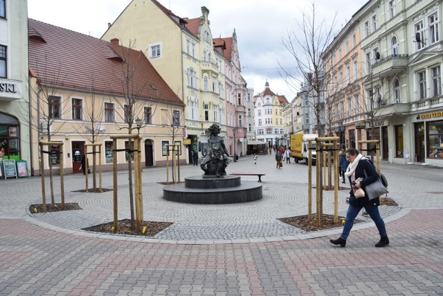 W Zielonej Górze nie tylko na deptaku pojawiły się nowe drzewa. Czekamy też na pierwsze wiosenne kwiaty w motylach i na skwerach