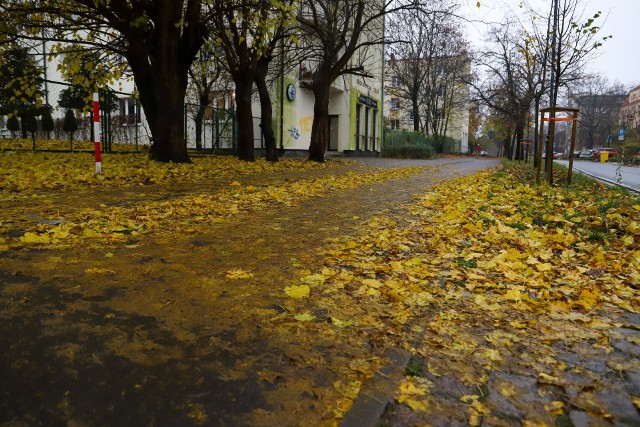 Czytelnicy zwracają uwagę, że w Toruniu roi się od miejsc, gdzie warstwa mokrych liści na ścieżkach rowerowych stwarza realne niebezpieczeństwo dla rowerzystów i pieszych.