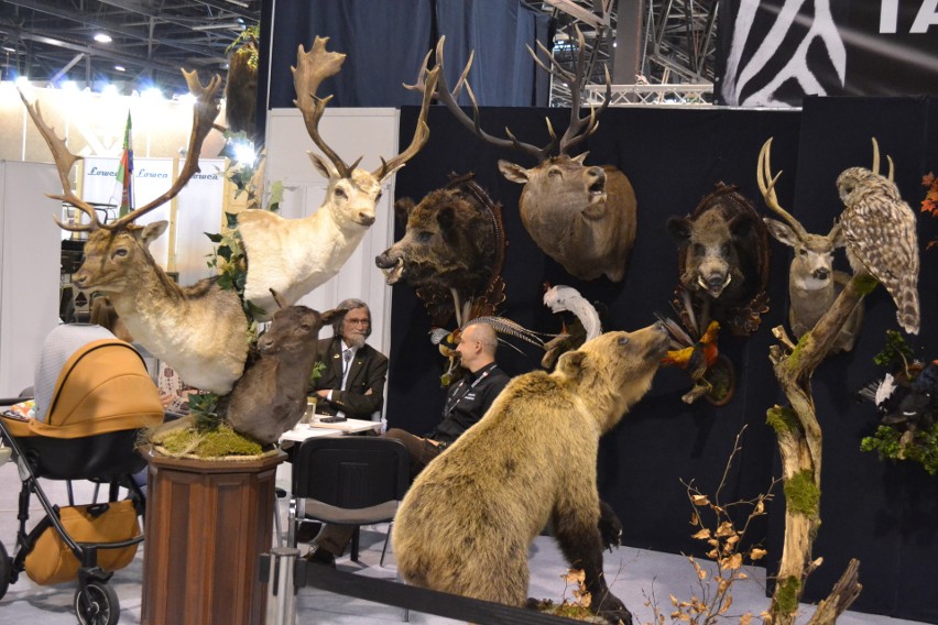 Targi łowieckie Expo Hunting 2017 w Expo Silesia