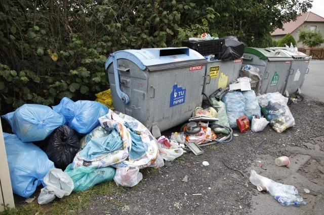 Taki obrazek, czyli niewywiezioną górę śmieci, można było zobaczyć wczoraj w Groszowicach.