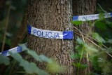 Gdynia: 53–latek po pięciu nocach w lesie odnaleziony przez policjantów