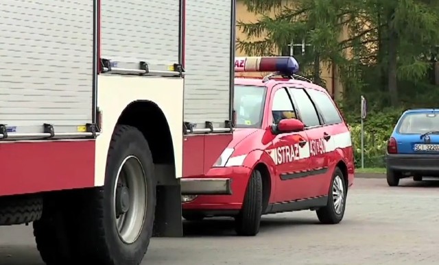 Do nietypowej sytuacji doszło w sobotę przed południem w Ustroniu w Lidlu. Straż pożarna ewakuowała klientów i pracowników supermarketu z powodu pająka.