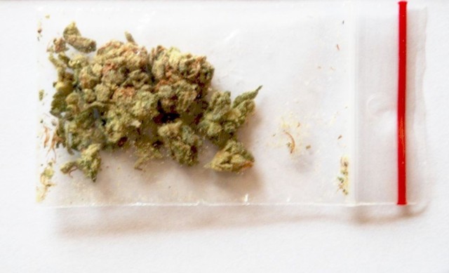 Badanie testerem narkotykowym wykazało, że jest to marihuana.