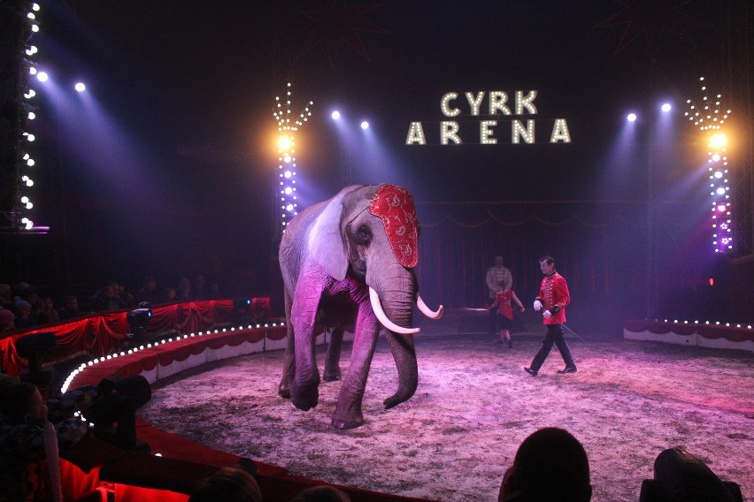 Cyrk Arena przyjechał do Mysłowic. Nie zabrakło występów ze...