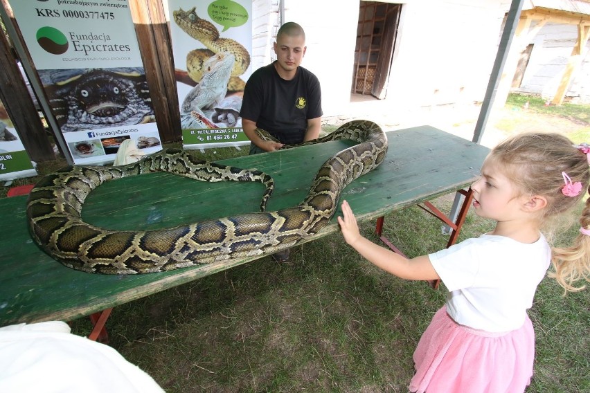 Psy, węże, jaszczurki, pająki i inne zwierząta poświęcono w Tokarni (WIDEO, zdjęcia)