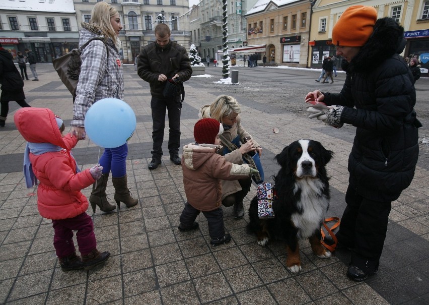 WOŚP w Rybniku w obiektywie Mikołaja Suchana [ODSZUKAJ SIĘ NA ZDJĘCIACH]