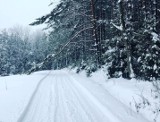 Trasy biegowe na Górze Parkowej w Krynicy to zimowa atrakcja, której chcieli turyści. Wielofunkcyjne trasy MTB mają służyć cały rok