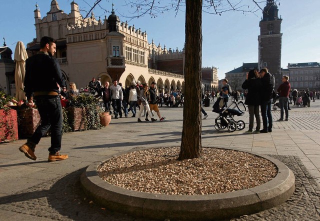 Miejsca wokół drzew zostały wysypane drobnym żwirkiem