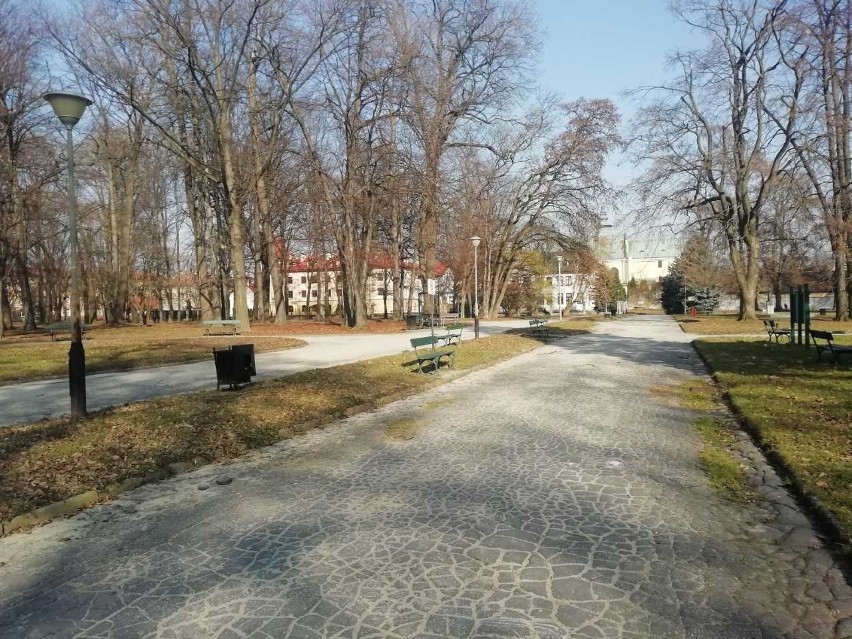 Park przy ul. Dąbrowskiego w Rzeszowie.