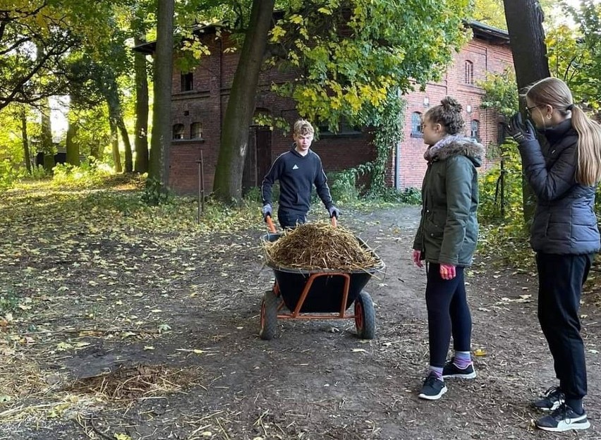 Kędzierzyn-Koźle. Niecodzienna lekcja uczniów ogólniaka. Porządkowali kozielską Wyspę 