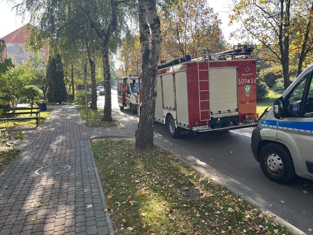 Wozu służb, które brały udział w nietypowej akcji w Połańcu