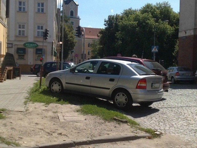 W ten sposób kierowcy niszczą zieleniec przy ul. Kraszewskiego.
