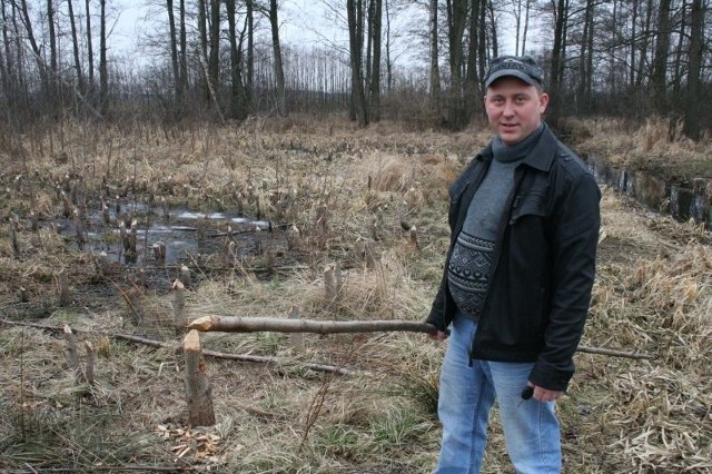 Tyle zostało z moich drzew &#8211; pokazuje Michał Zawistowski.