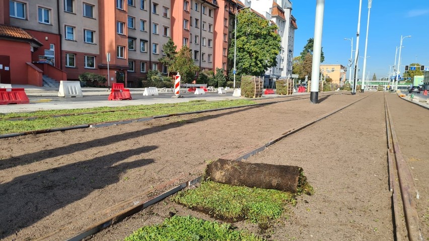 Tramwaj na Popowice pojedzie zielonym torowiskiem. Według...