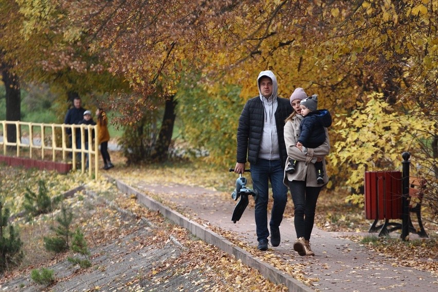 Złota polska jesień na Rejowie w Skarżysku-Kamiennej