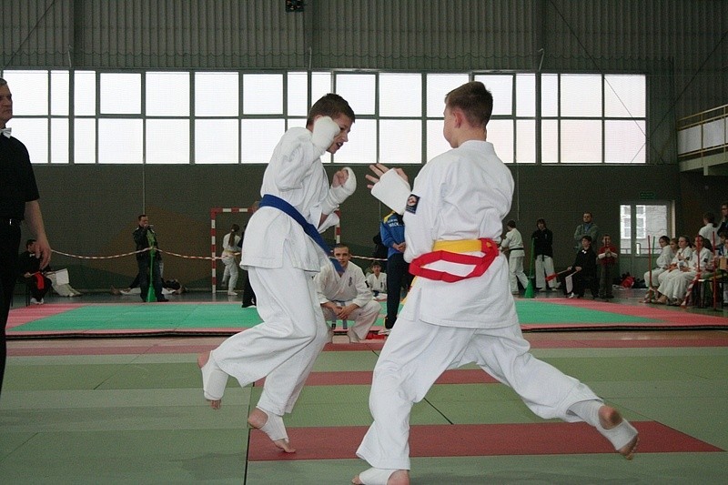 Mistrzostwa województwa w karate kyokushin