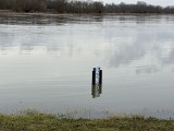 Wielka woda w Sandomierzu. Zalany Bulwar Piłsudskiego. Zobacz zdjęcia