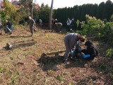 Społecznicy posprzątali jeden ze starych cmentarzy w bydgoskim Opławcu. Chcą ocalić też inne nekropolie