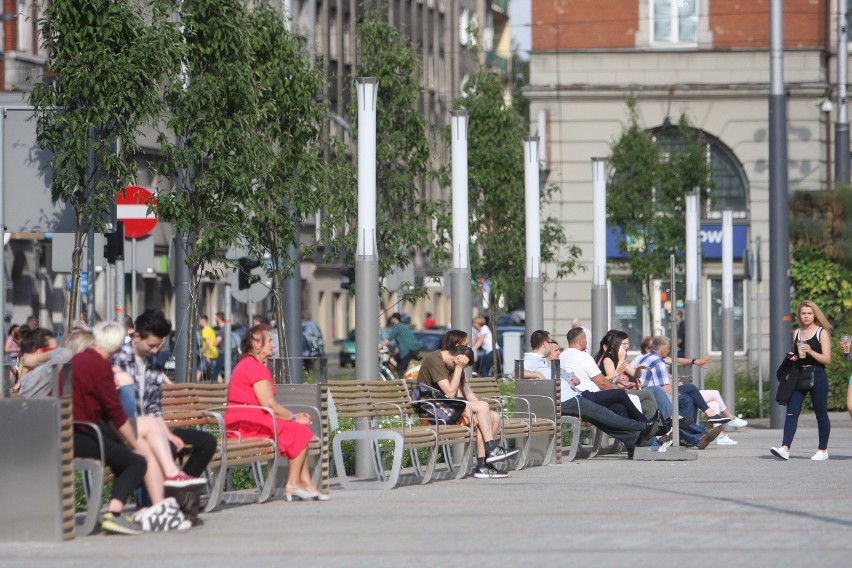 Zobacz także ZDJĘCIA NOCNE Palmy, rzeka, leżaczki: Katowice...