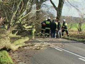 Strażacy wzywani są głównie do usuwania gałęzi z dróg