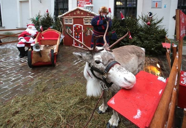 Moda na bożonarodzeniowe jarmarki zagościła też w naszym...