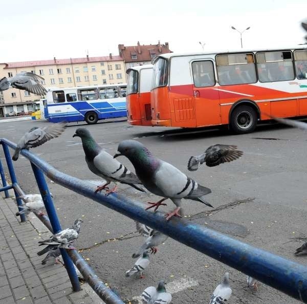 - Zastanawiam się, czemu nie zostanie uruchomiona linia autobusów MZK w stronę Prószkowa? - pyta nasza czytelniczka.