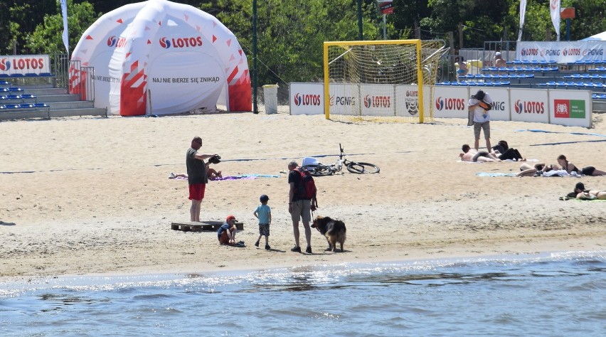 Pies na plaży. Czy to legalne? W tych miejscach nad Bałtykiem nie możesz wyprowadzać czworonoga!