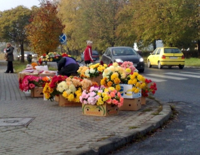 Zdaniem czytelnika, te kwiaty zasłaniają widoczność pojazdów. - Ciężko wyjechać z ulicy Słowackiego na Koseły.